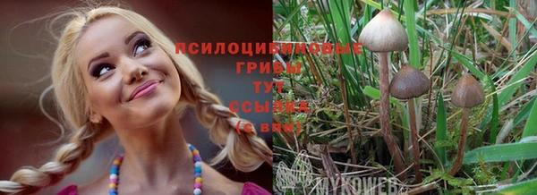 прущая мука Нея