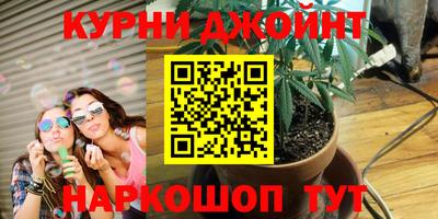 a pvp Заводоуковск