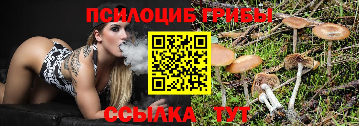 Псков  Псилоцибиновые грибы MAGIC MUSHROOMS  где найти наркотики  Вход с VPN 